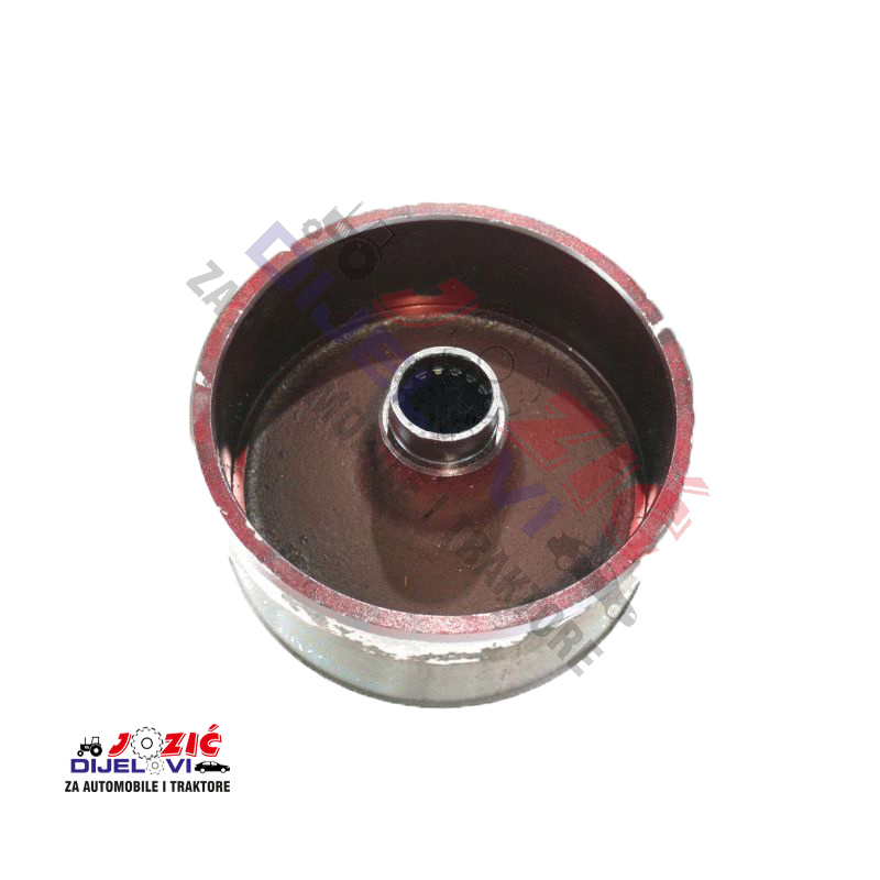 Daisy on the Ohoopee